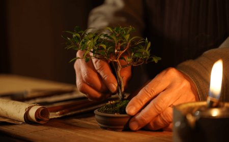 Rotina Matinal Estoica: 7 Passos para Clareza