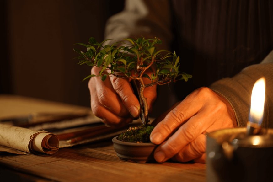 Rotina Matinal Estoica: 7 Passos para Clareza